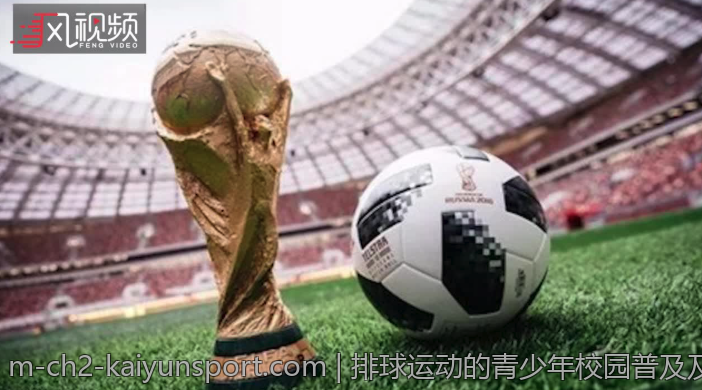 排球运动的青少年校园普及及竞赛体系完善